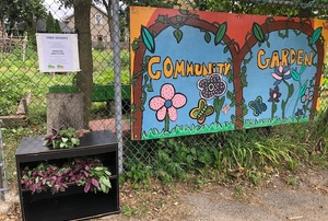 Peace and Plenty Community Garden